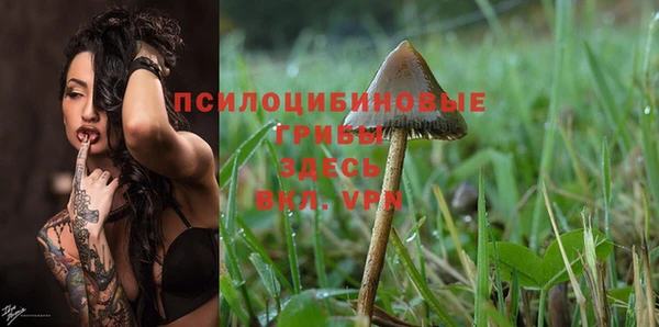 COCAINE Медногорск